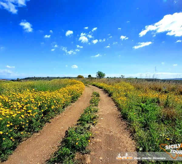 Cicloturismo Sicilia - Catania Bike Adventure - © Sicily Bike Tourist Service 02