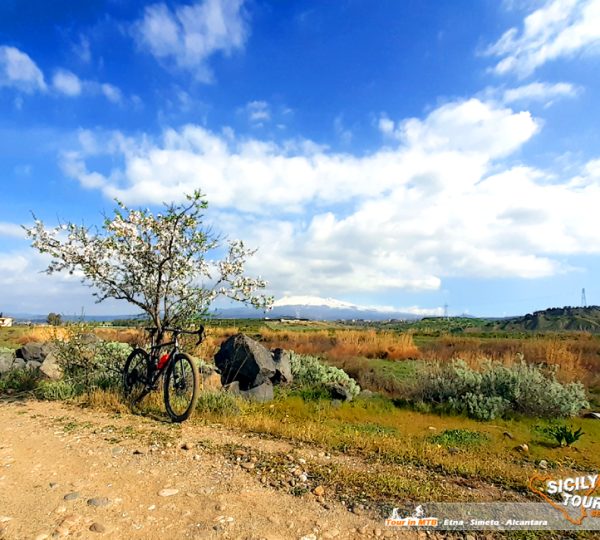 Cicloturismo Sicilia - Catania Bike Adventure - © Sicily Bike Tourist Service 06